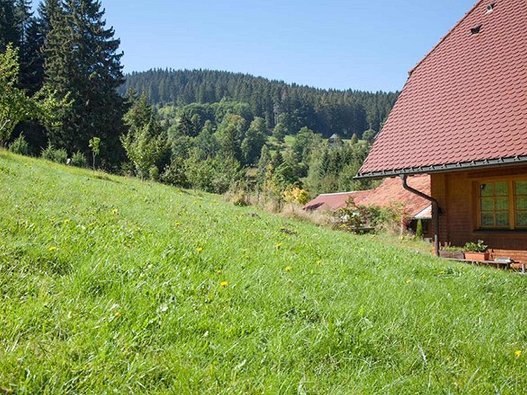 Ferienhaus Esche Hinterzarten Eksteriør billede