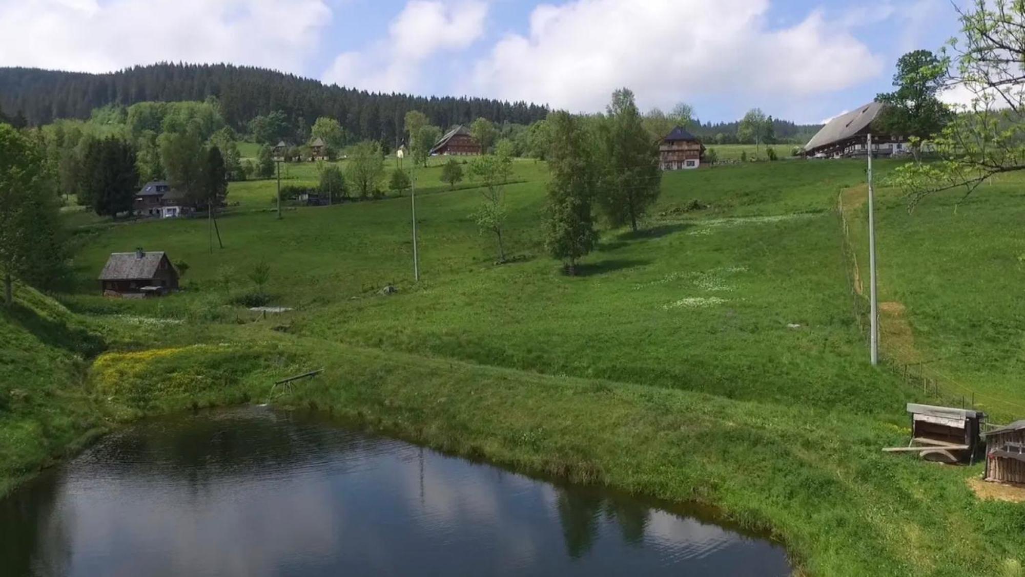 Ferienhaus Esche Hinterzarten Eksteriør billede