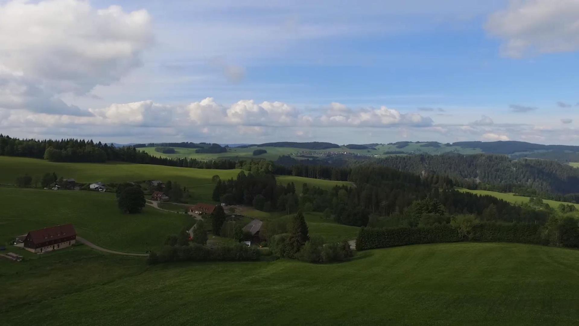 Ferienhaus Esche Hinterzarten Eksteriør billede