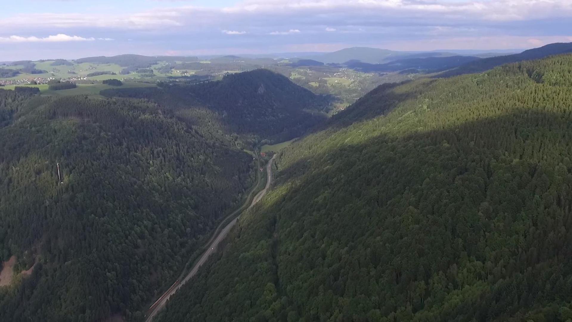 Ferienhaus Esche Hinterzarten Eksteriør billede