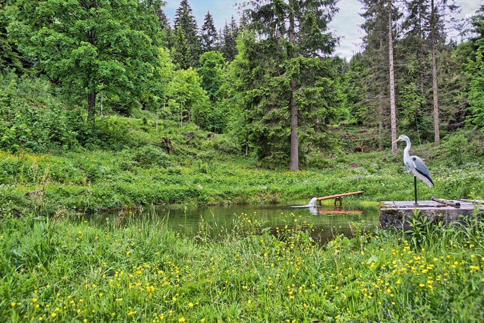 Ferienhaus Esche Hinterzarten Eksteriør billede