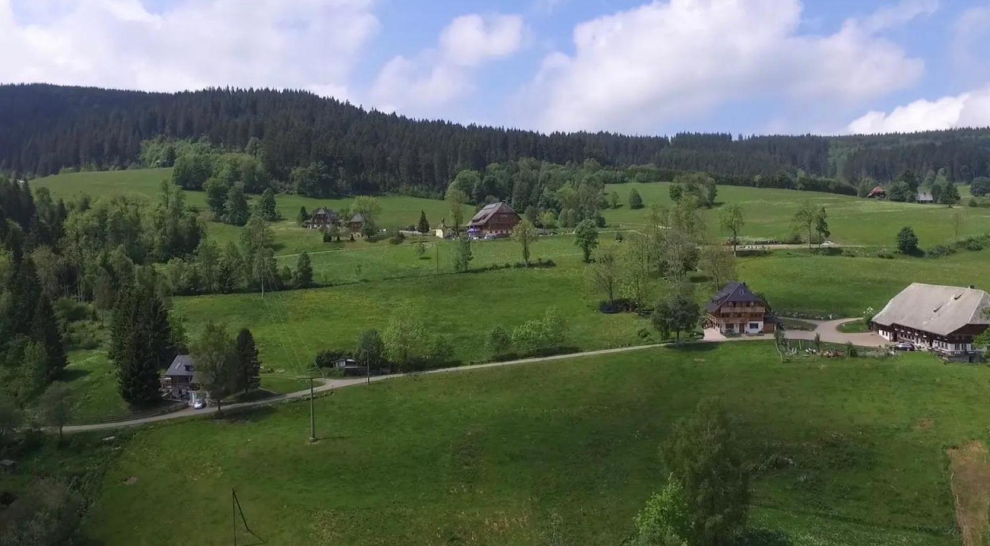 Ferienhaus Esche Hinterzarten Eksteriør billede