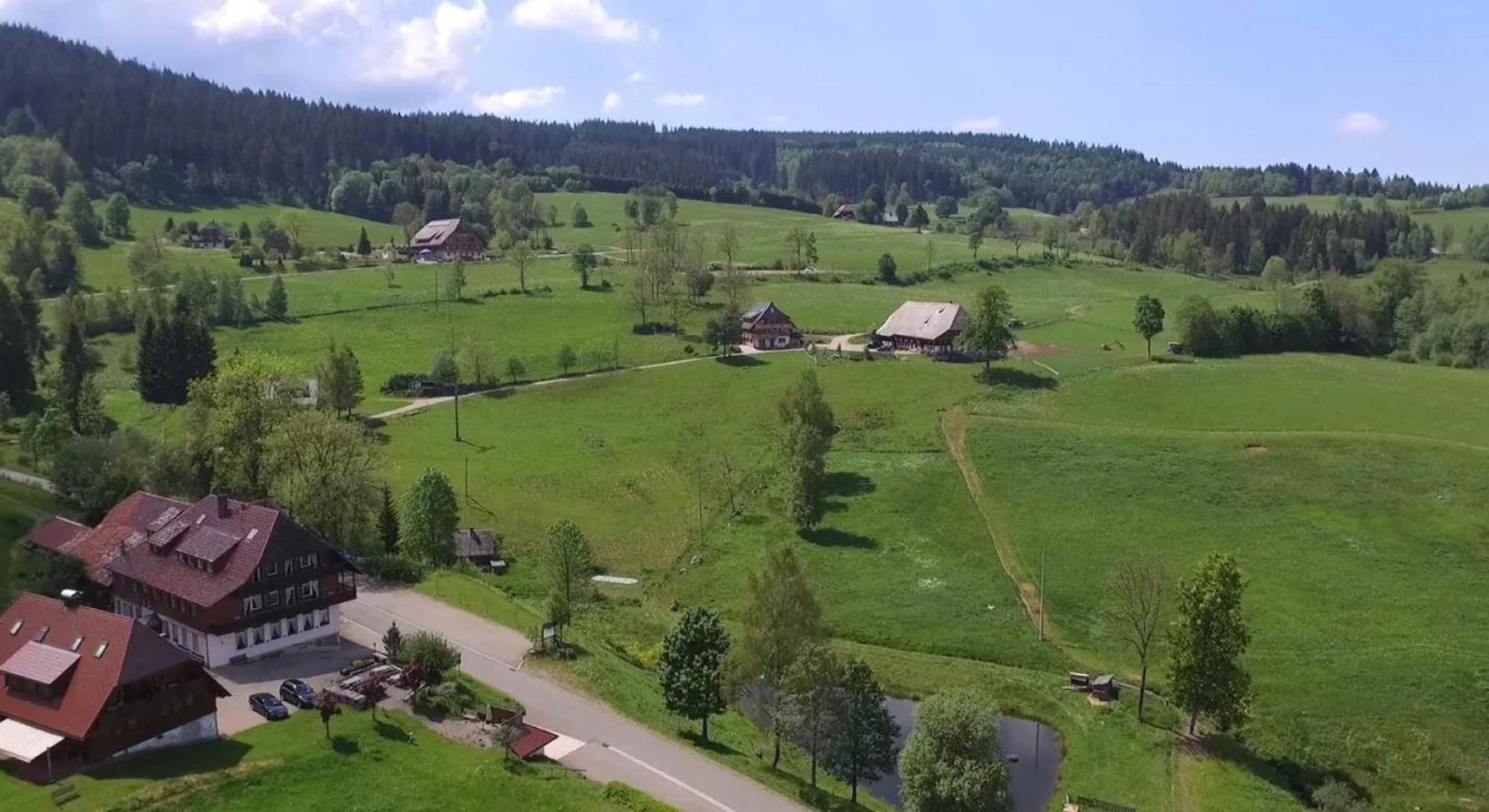 Ferienhaus Esche Hinterzarten Eksteriør billede