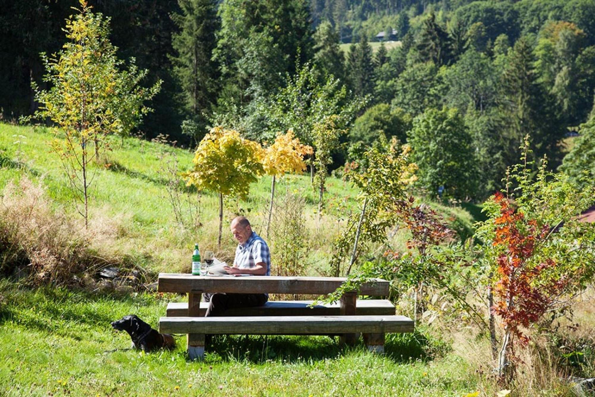 Ferienhaus Esche Hinterzarten Eksteriør billede