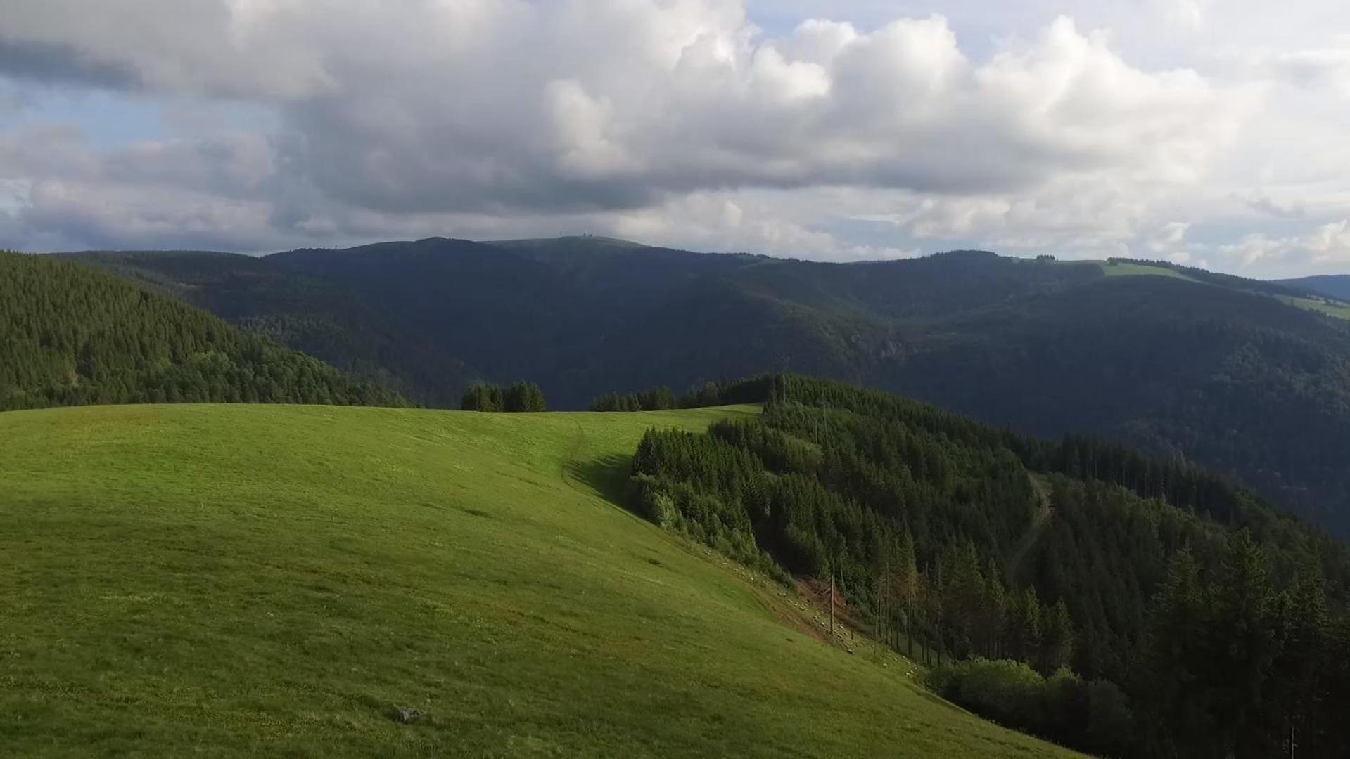 Ferienhaus Esche Hinterzarten Eksteriør billede
