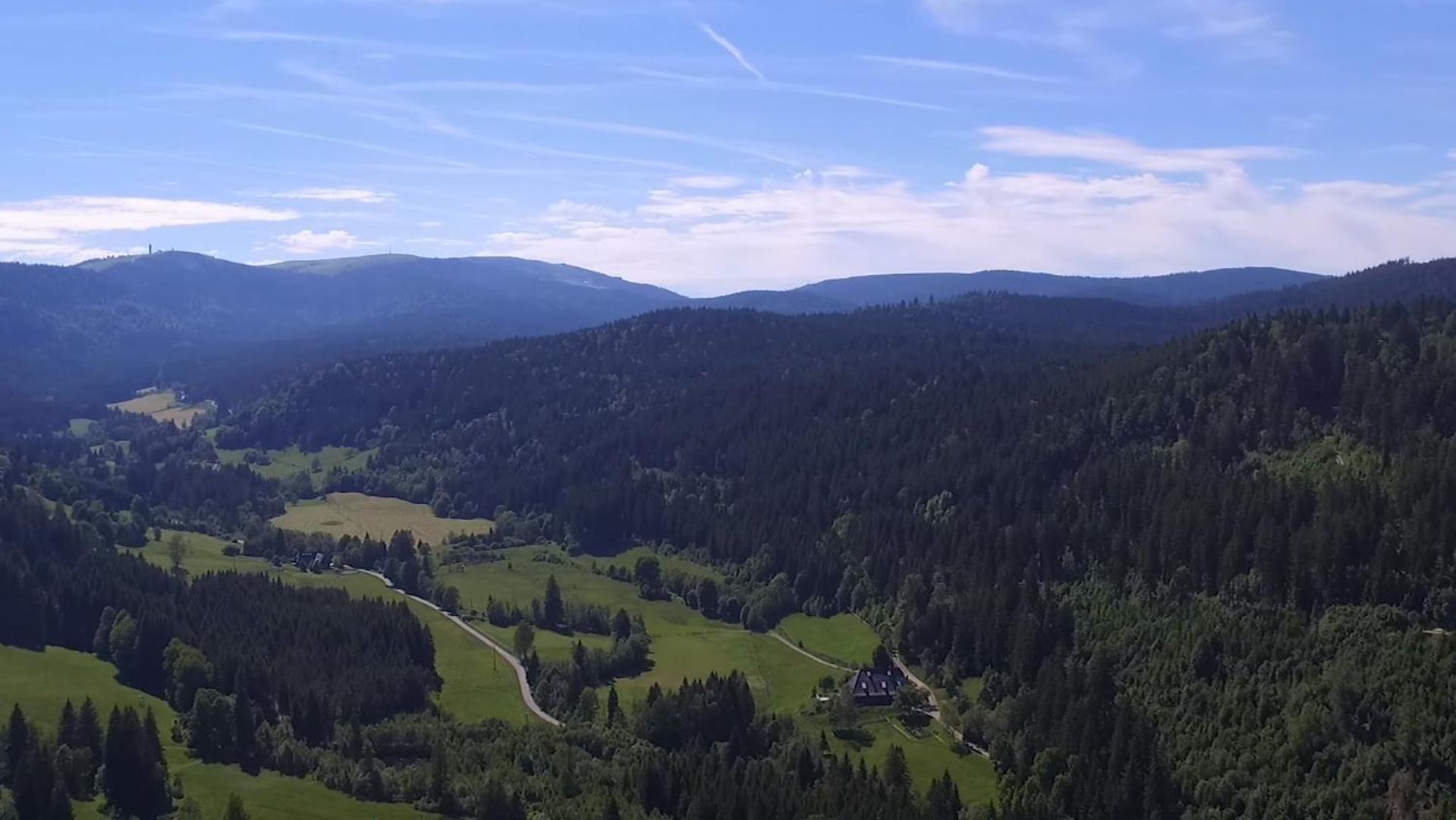 Ferienhaus Esche Hinterzarten Eksteriør billede