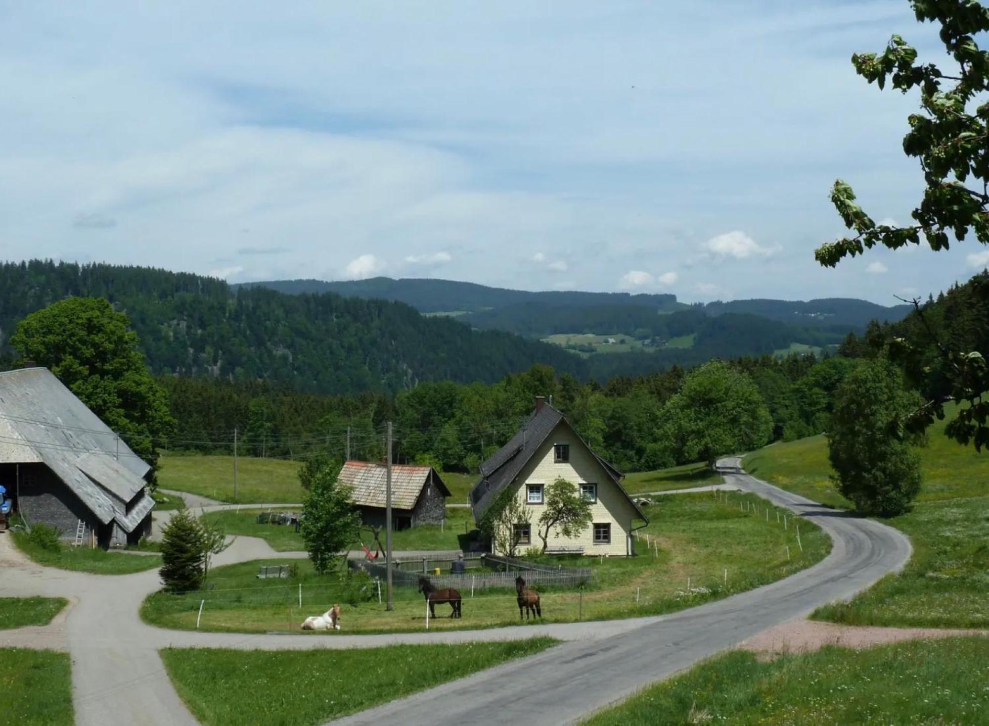 Ferienhaus Esche Hinterzarten Eksteriør billede